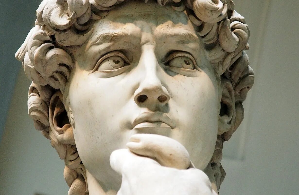 Давид микеланджело. Микеланджело давид 1501-1504. Давид микеланджело скульптура эстетика. Давид микеланджело скульптура. Лицо микеланджело.