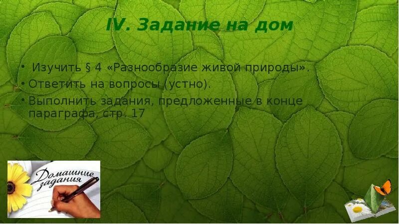 Проект биология 5 класс разнообразие живых организмов. Разнообразие живой природы. разнообразие живой природы 5 класс биология. разнообразие живой природы презентация. вопросы по теме разнообразие живой природы.