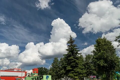 Город туча