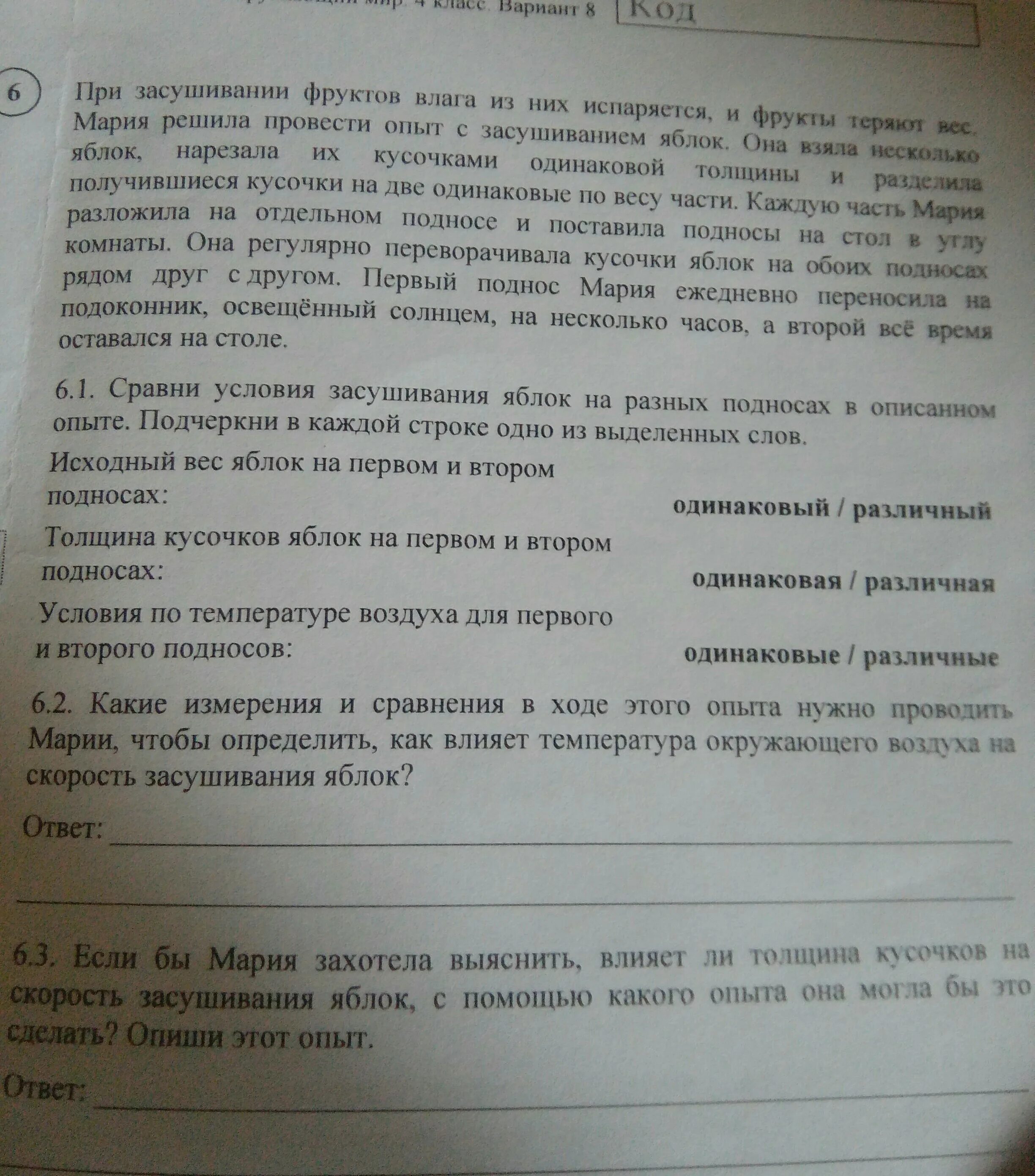 Сравни условия засушивания яблок на разных подносах