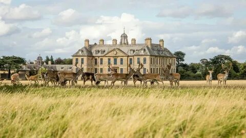 Countryside acres с переводом на русский канал