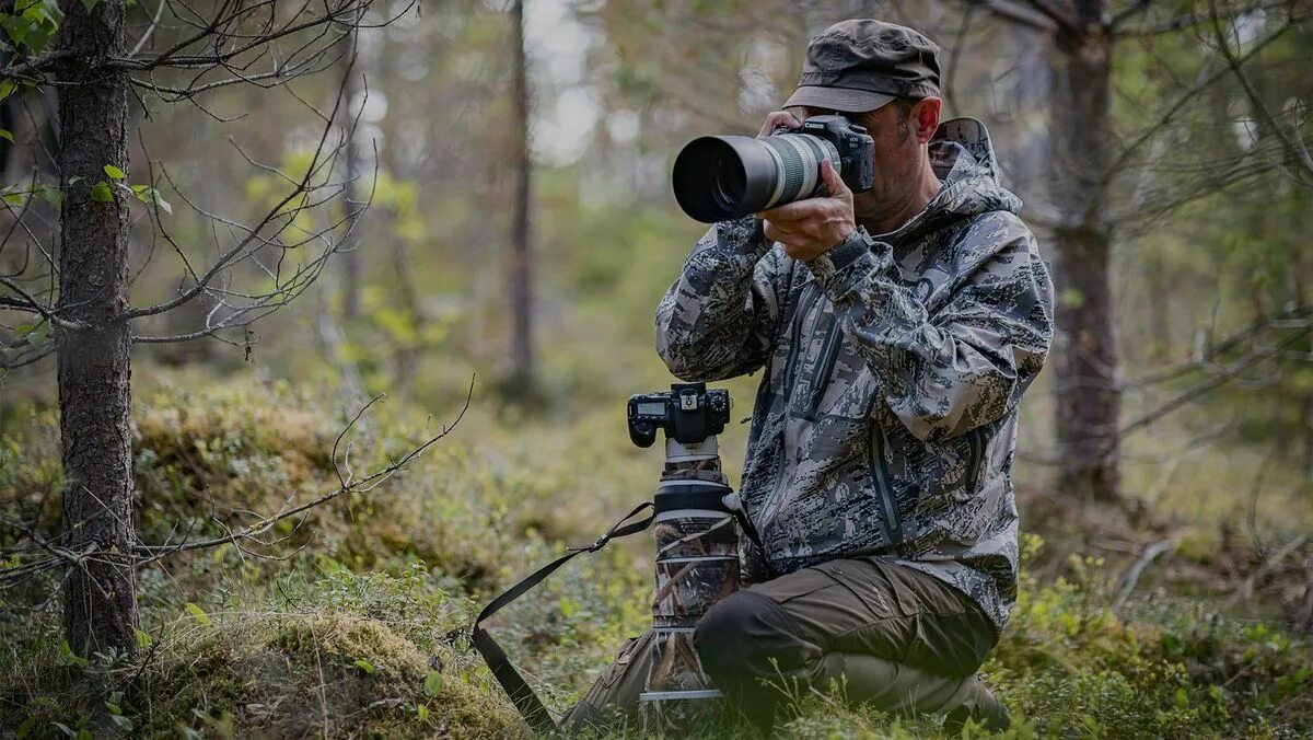 Фотосъемка дикой природы с Canon EOS 90D - Canon Russia