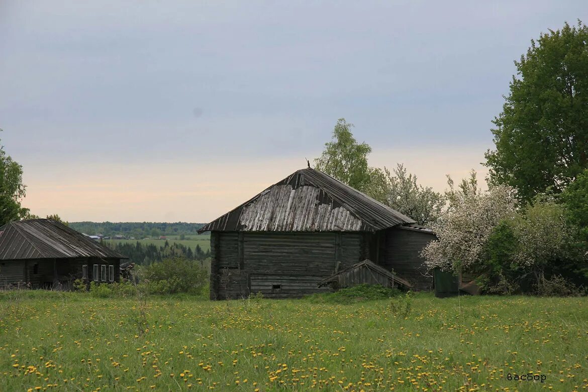 Большие бездели деревня. Погорелово ярославская область ростовский район. Храм в погорелово тотемского района. Вологодская область тотемский район деревня великодворье. Погорелово вологодская область тотемский.