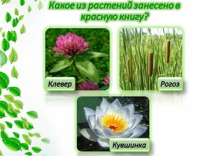 Полна загадок