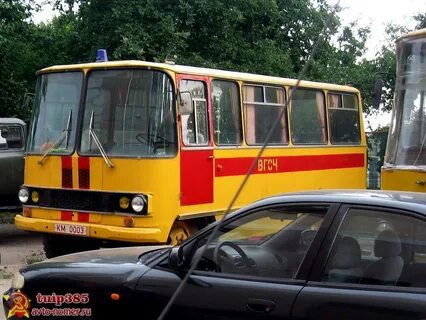 Автобус горизонт