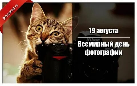 Название фото дней