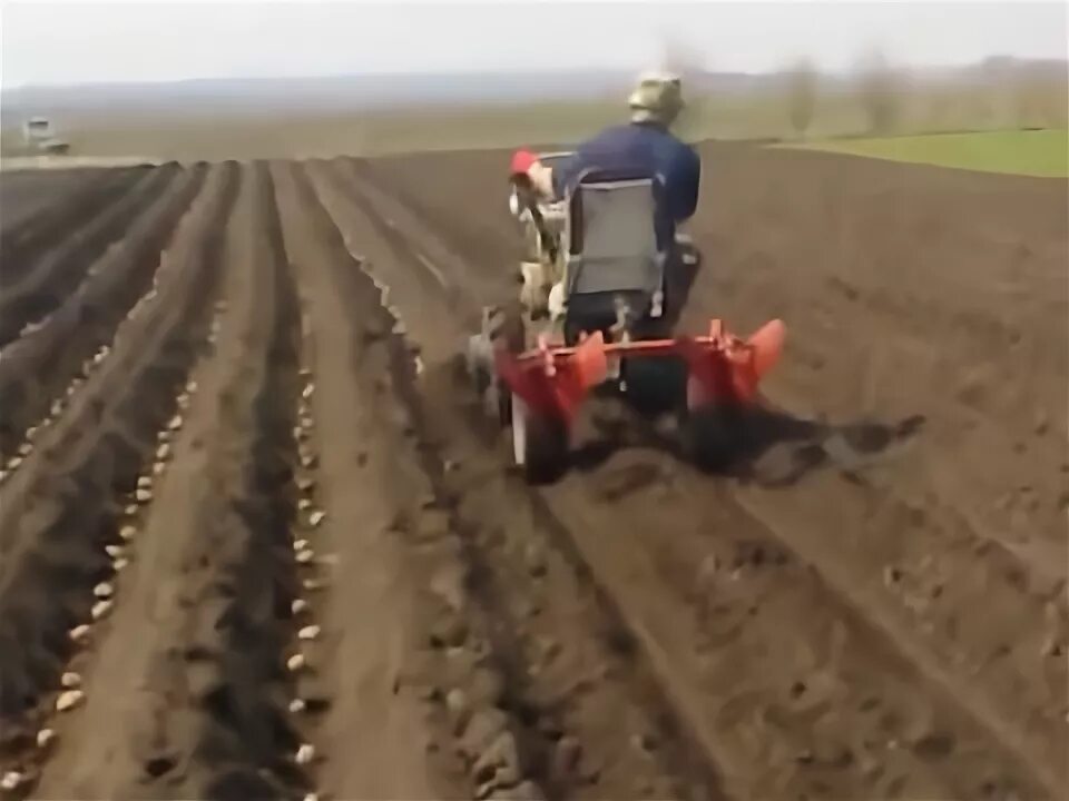 Как сажать картошку после трактора