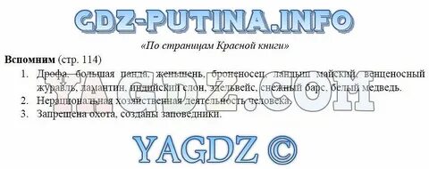 Народный ответ история 7 класс тест