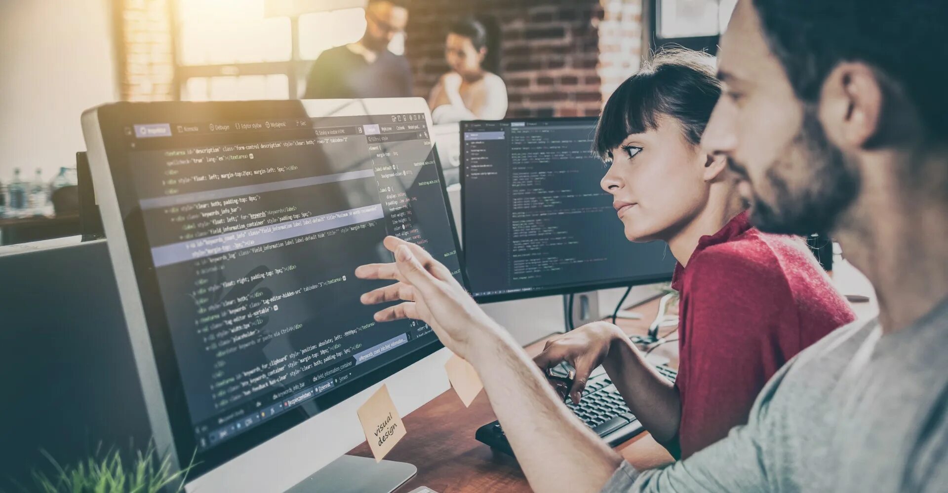 Software developer это