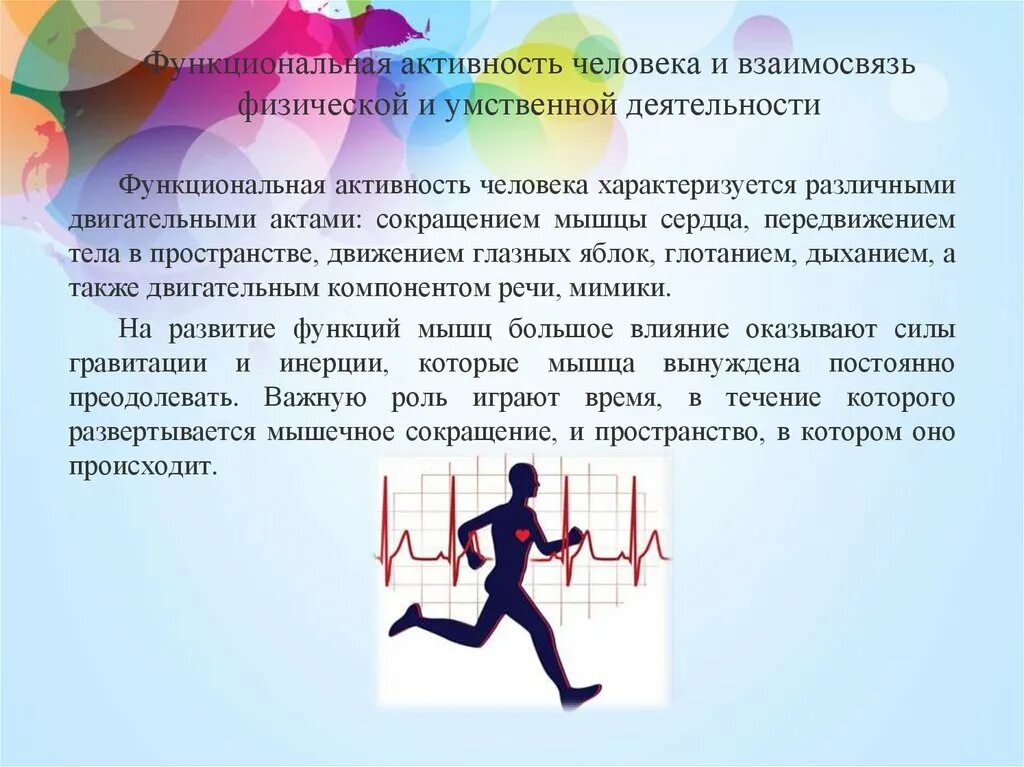 Человеческая активность. Взаимосвязь умственной и физической. Функциональная активность человека. Взаимосвязь физической и умственной деятельности человека. Влияние физической активности на организм человека.