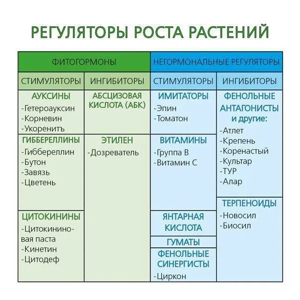 Фитогормоны таблица. Влияние на рост растений гормонов. Гормоны стимулирующие рост растения. Регуляторы роста растений классификация. Гормоны растений и их функции.