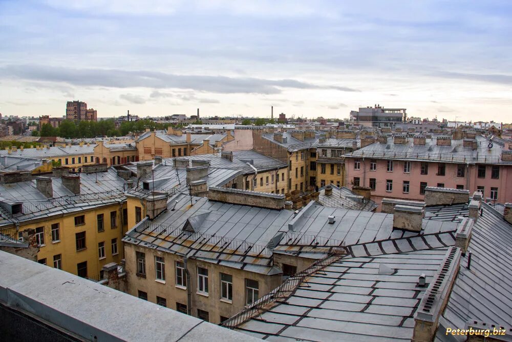 По крышам и парадным