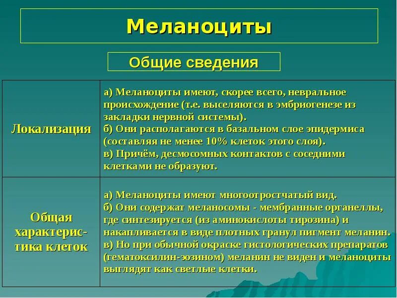 Меланоциты функции