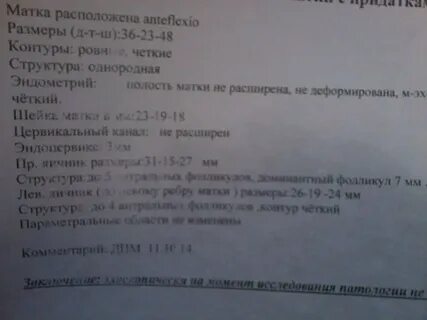 Размеры матки 5 4 5