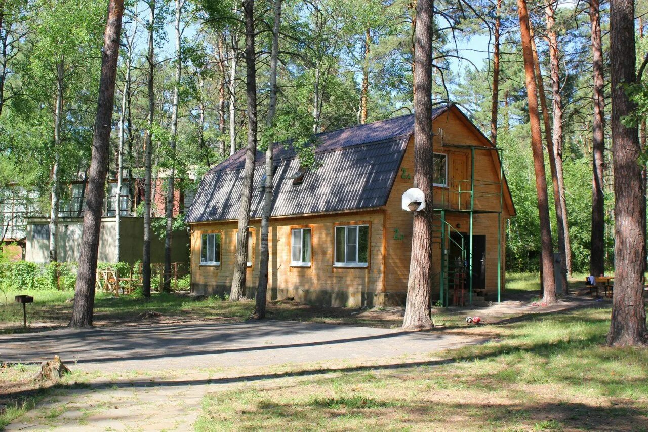 Лесная сказка воронеж турбаза. Лесная сказка воронеж турбаза. Турбаза лесное воронеж. Лесная сказка рамонь турбаза. База лесная сказка воронеж.
