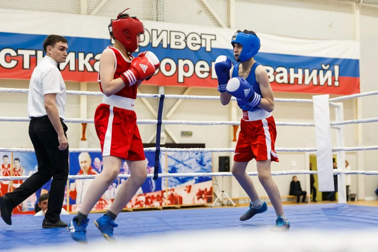 Бокс в королеве. Бокс королев. спортшкола месягутово.