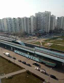 Работа скобелевская