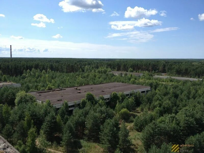 Озеро янгерское карелия. Лес лодейное поле. Точка на карте лодейное поле гостиница. Лодейное поле парк. Отель точка на карте лодейное поле владелец.