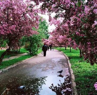 Парки москвы весной