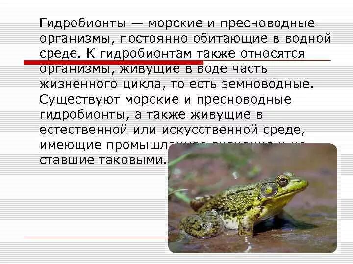 Приспособления земноводных в воде. Пресноводные организмы. Особенности гидробионтов. Пресноводные и морские организмы. Гидробионты животные.