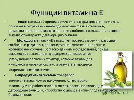 Какую биологическую роль в организме выполняют витамины