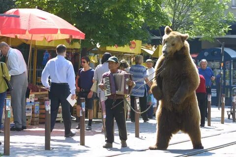 Dancing bear with trainer - Emerging Europe.