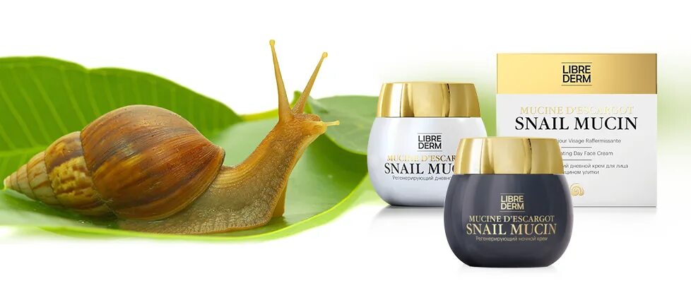 Крем слизь улитки. Librederm муцин улитки. Крем Niacinamide Snail Mucin. Snail Mucin улиточный крем Librederm. Скраб для лица с муцином улитки обновляющий 50 г Белика-м/8/МТ.