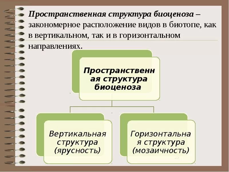 Пространственная структура биология 9 класс. Пространственная структура биоценоза. горизонтальная структура биогеоценоза. вертикальная и горизонтальная структура биоценоза. пространственная структура биоценоза горизонтальная.