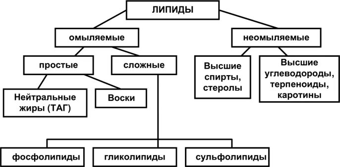 Химическая структура липидов. Сложные липиды классификация. Химическая классификация липидов. Липоидные вещества. Классификация липидов жиры и липоиды.