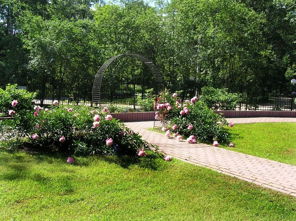 Stone sokolniki. Парк Сокольники малый розарий. Розарий в Сокольниках. Парк Сокольники большой розарий. Парк Сокольники природа розарий.