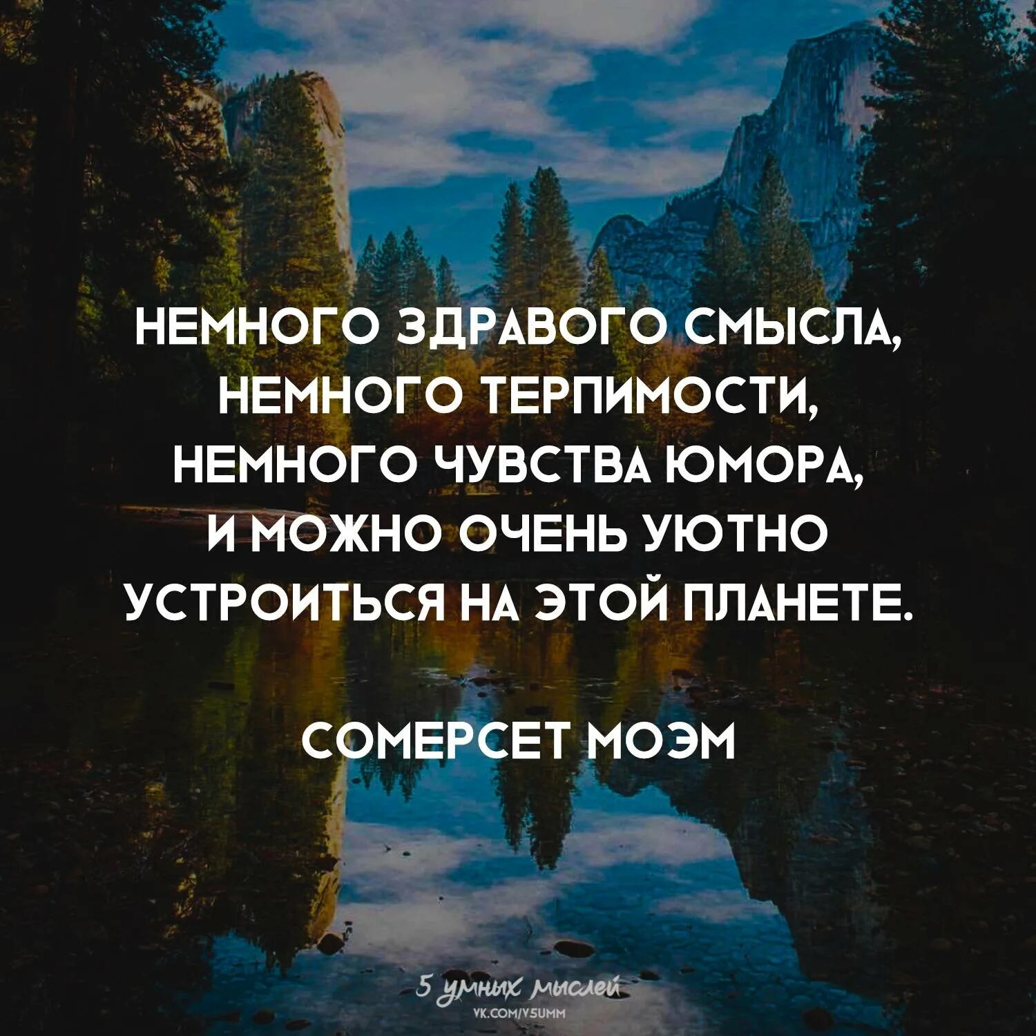 Смысл высказывания. Здравый смысл высказывания. Немного здравого смысла немного терпимости. Немного здравого смысла немного терпимости немного чувства юмора. Цитаты про здравый смысл.