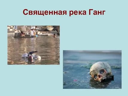 Почему река ганг