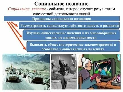 Социально правовое явление это