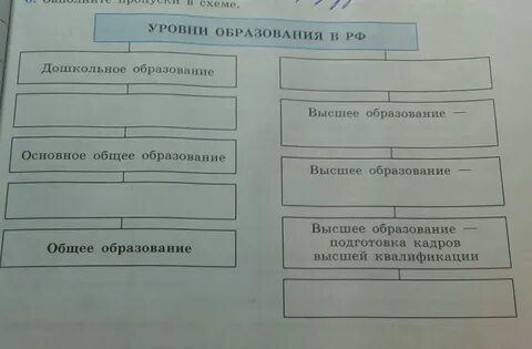 Заполните пропуски в схеме высшие