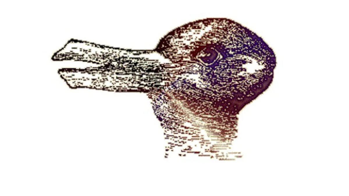 Не могут найти утку. Головоломки найди на картинке. Иллюзия перевертыш утка заяц. Не могут найти утку. Не могут найти утку.