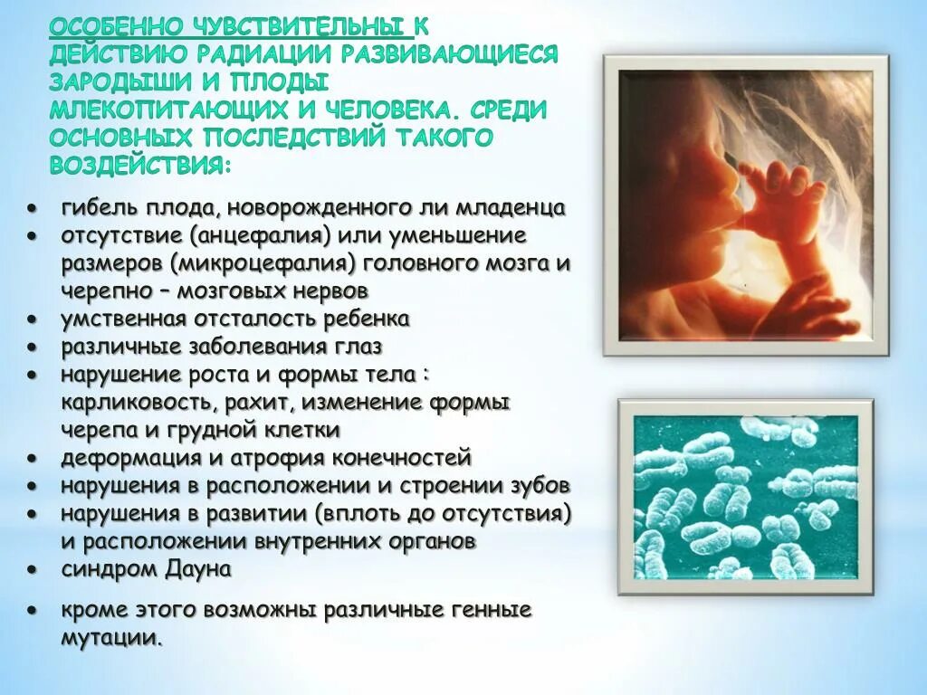 Влияние ионизирующего излучения на плод. Влияния радиации на эмбрионы человека. Влияние радиации на эмбрион. Действие ионизирующего излучения на плод и эмбрион.