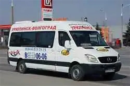 Суровикино волгоград маршрутки ромашка