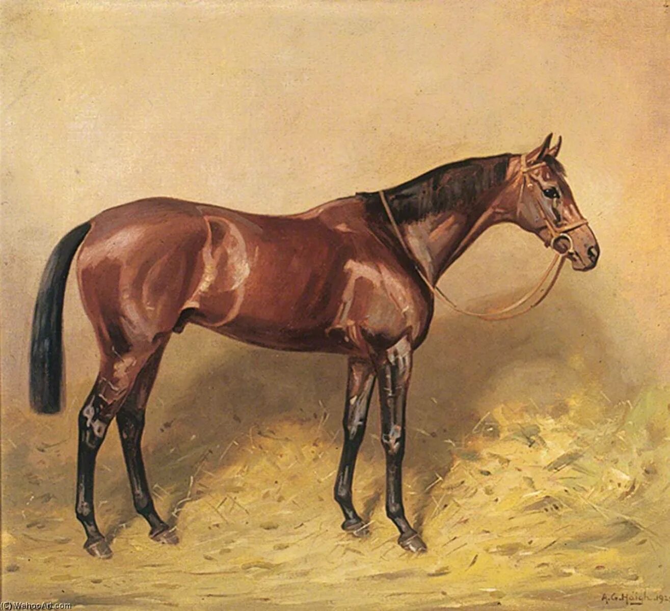 Портрет лошади. Лошади в искусстве и литературе. Английский художник Charles Haigh-Wood 1856-1927. Произведения про лошадей