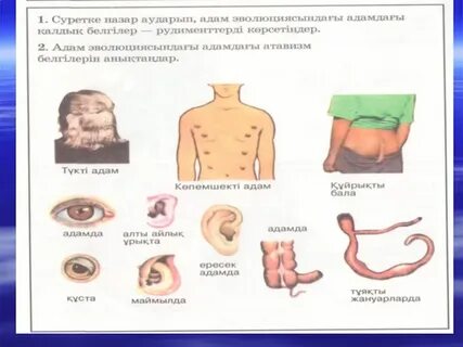 Транни соратын жұптың порно фотосы