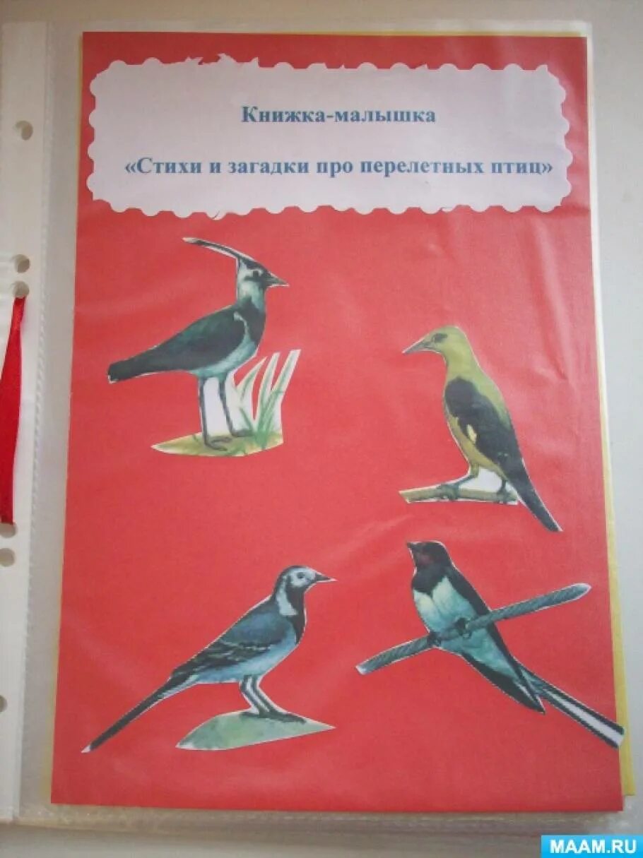 Занятие в подготовительной группе красная книга. Перелетные птицы. Птицы для книжки малышки. Книжки малышки на тему перелетные птицы. Книжка малышка про птиц.