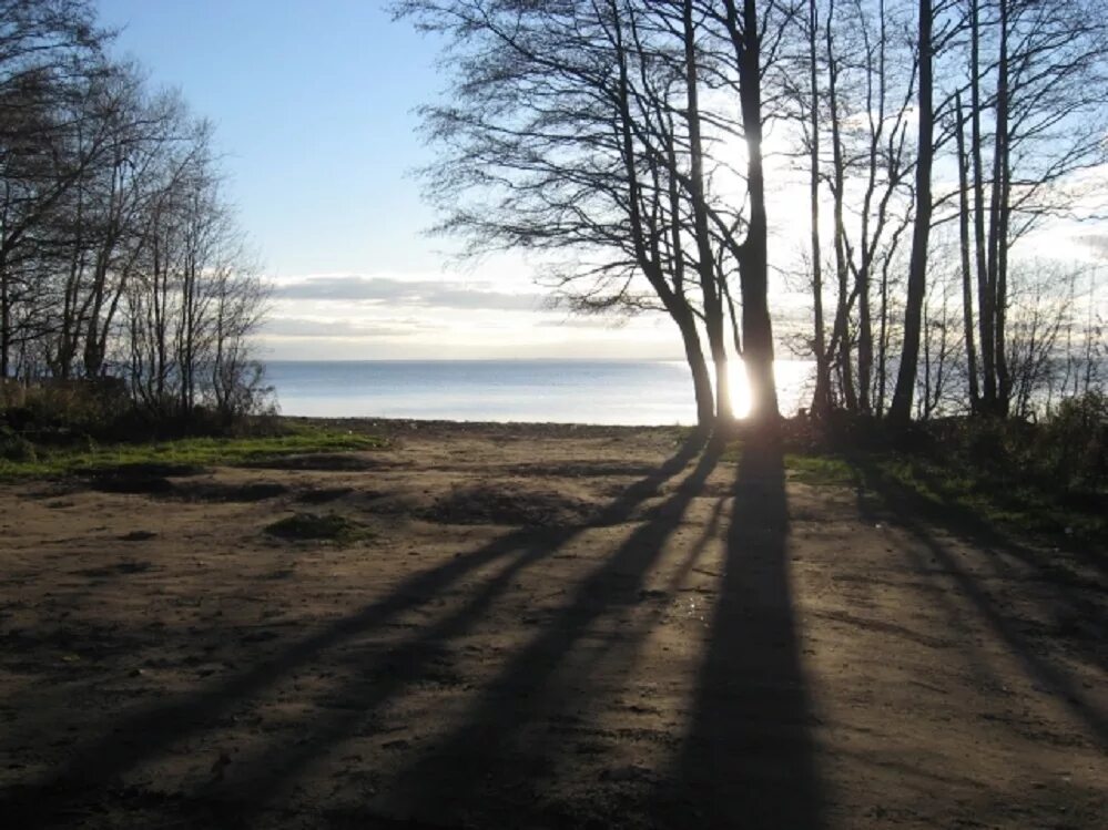 Осадки лисий нос. Лисий нос санкт-петербург. Поселок лисий нос. Лисий нос ленинградская область. Осадки лисий нос.