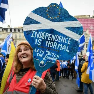 Партия референдум