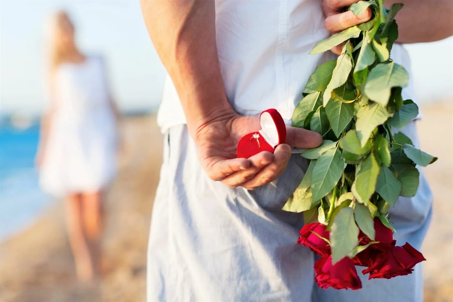Предложение руки и сердца. Любовь отношения брак. Мужчина дарит цветы женщине. Сектор любовь и отношения. Можно ли дарить 7 цветов