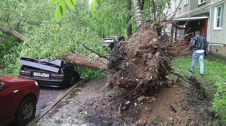 Есть ли ураган в москве сейчас. Ураган в москве (2017). ураган в москве 29 мая 2017 года. ураган май 2017 москва. ураган в москве 1998.