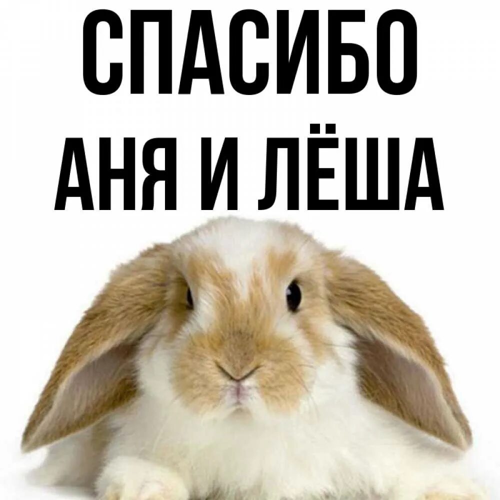 Спасибо ане. Спасибо аня. спасибо аня картинки. открытки с именем аня.