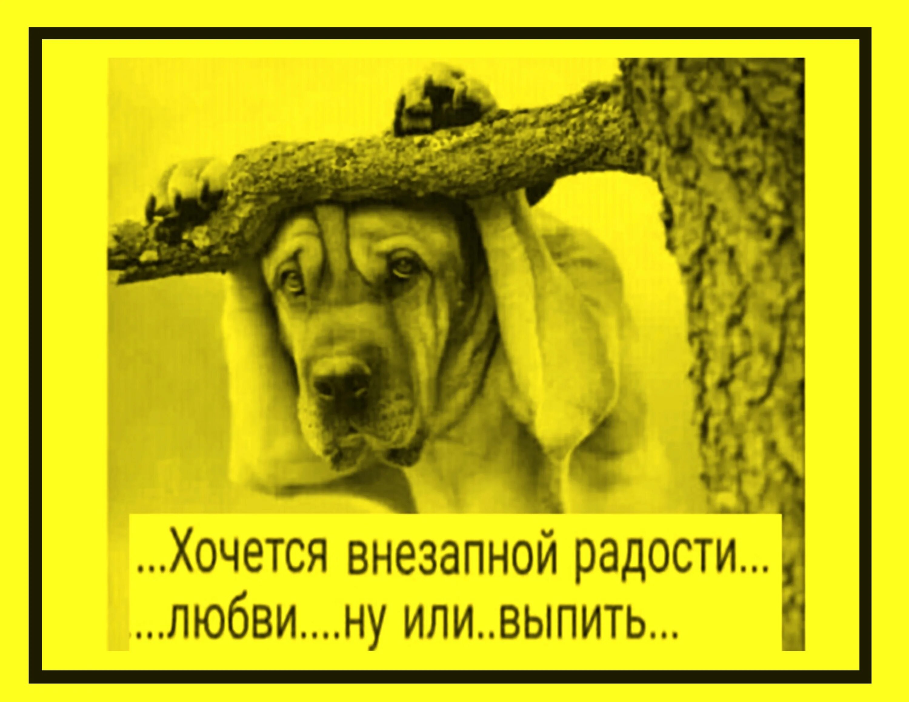 Сон рядом с любимым человеком. Хочу счастья. Постоянно хочется любви. Хочется любви. Постоянно хочется любви.