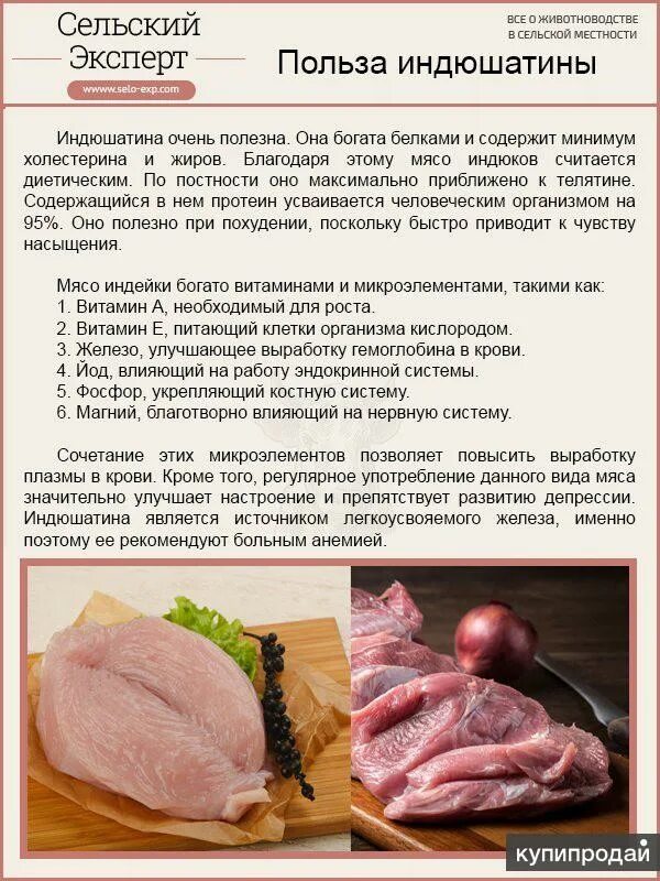 Почему мясо индейки. Чем полезна индейка. Мясо индейки польза. Чем полезно мясо индейки. Чем полезен мясо индейки.