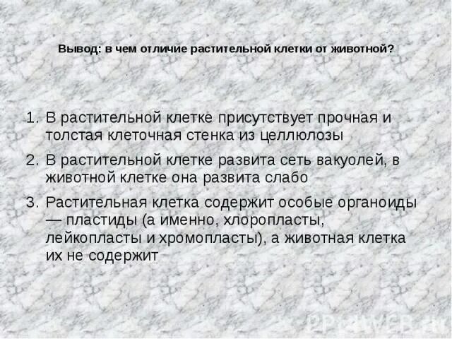 Растительная клетка вывод. Растительная клетка и животная клетка вывод. Вывод о строении растительных и животных клеток. Вывод клетки растений и животных. Животная клетка вывод.