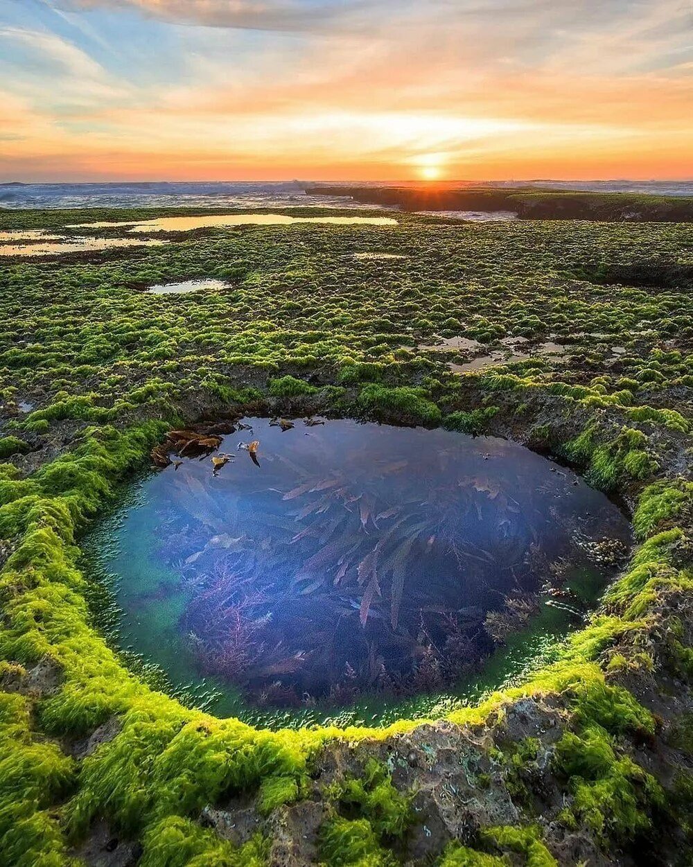 Самые большие водоемы на планете это