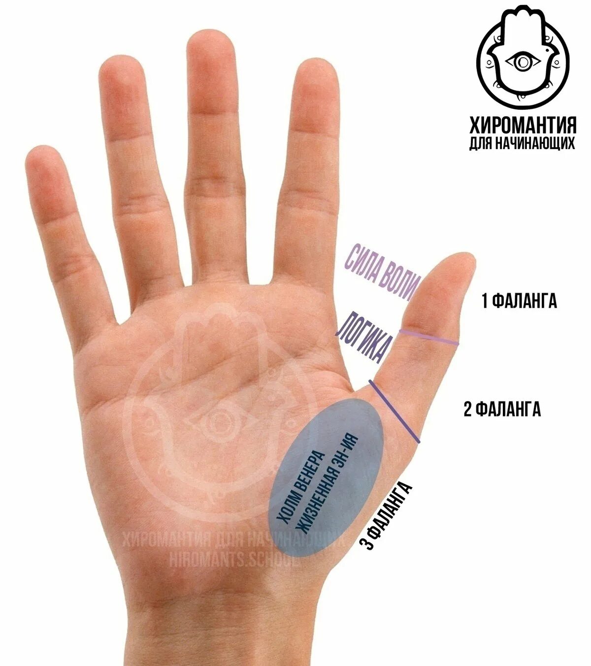 как можно понять имя. кличка для девушки крутые. день ангела по дате рождения. первая буква твоего имени. красивые названия.